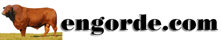 www.engorde.com